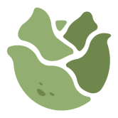 Cabbage512px